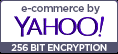 Secure Shopping with 256-Bit Encryption